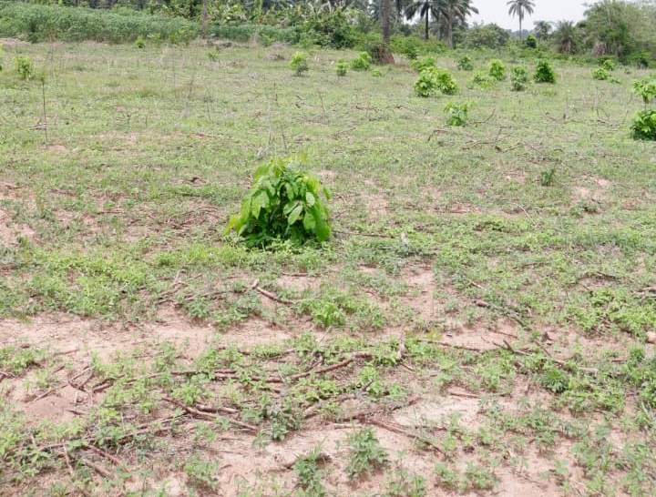 land banking in ibadan